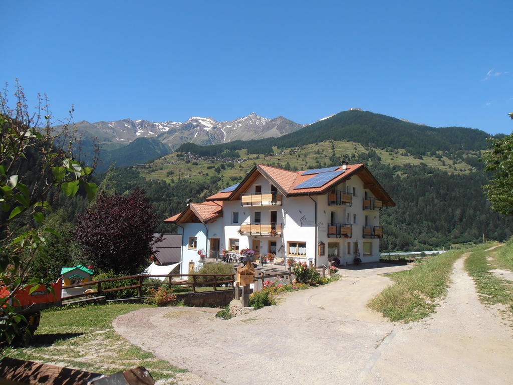 Bed and Breakfast Baita Scaia Cogolo Exterior foto