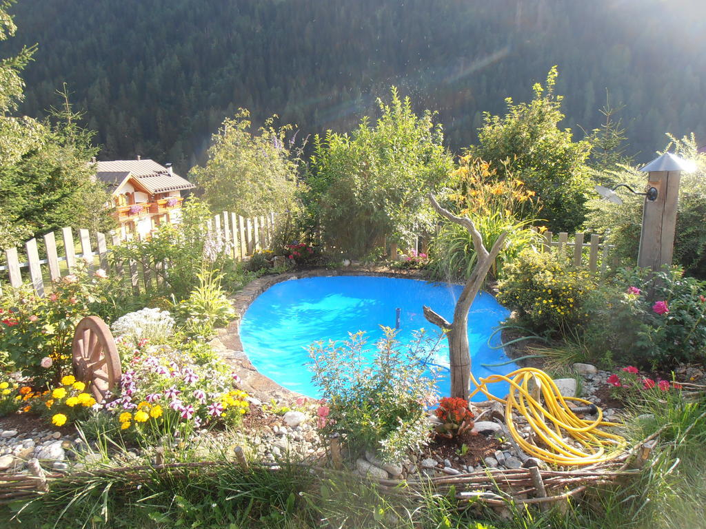 Bed and Breakfast Baita Scaia Cogolo Exterior foto