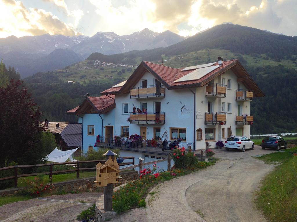 Bed and Breakfast Baita Scaia Cogolo Exterior foto